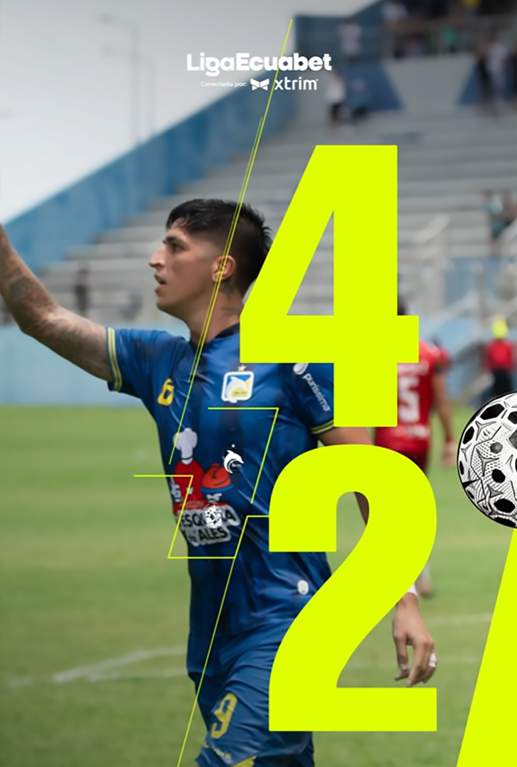 Delfín 4 - 2 manta Delfín 4 - 2 manta